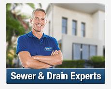 Sewer & Drain Experts Beecroft